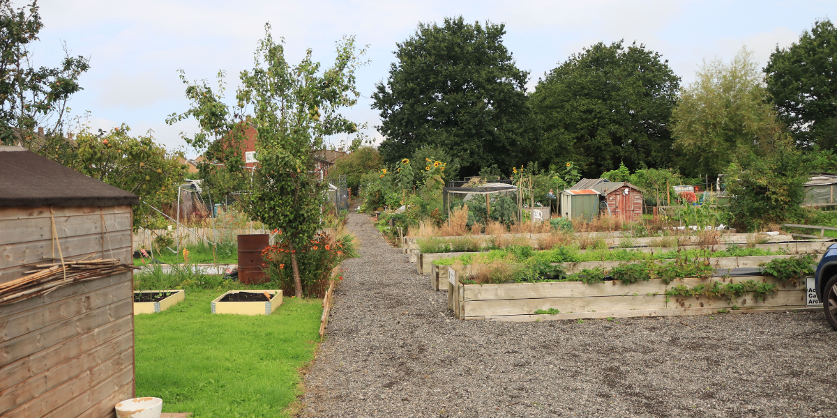 Safe Allotment